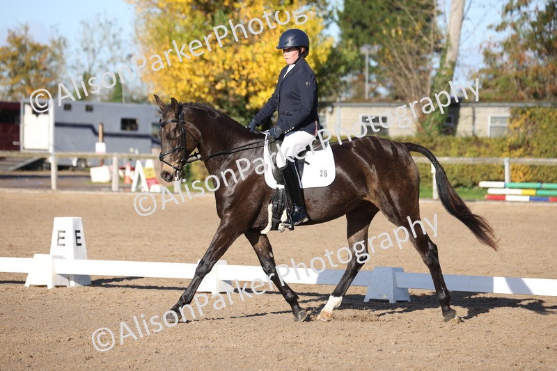 20251102-0384 - Class 3 - Novice 5