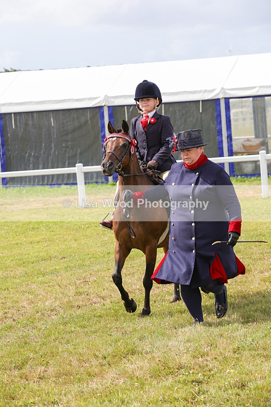1X9A3645 - Class 29: Lead Rein SP/SHP