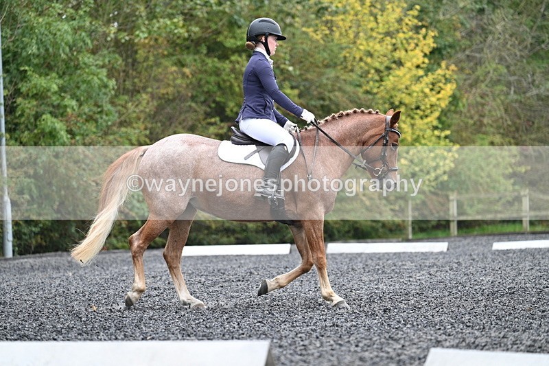 WJ7_3683 - Time 11:04 to 11:38