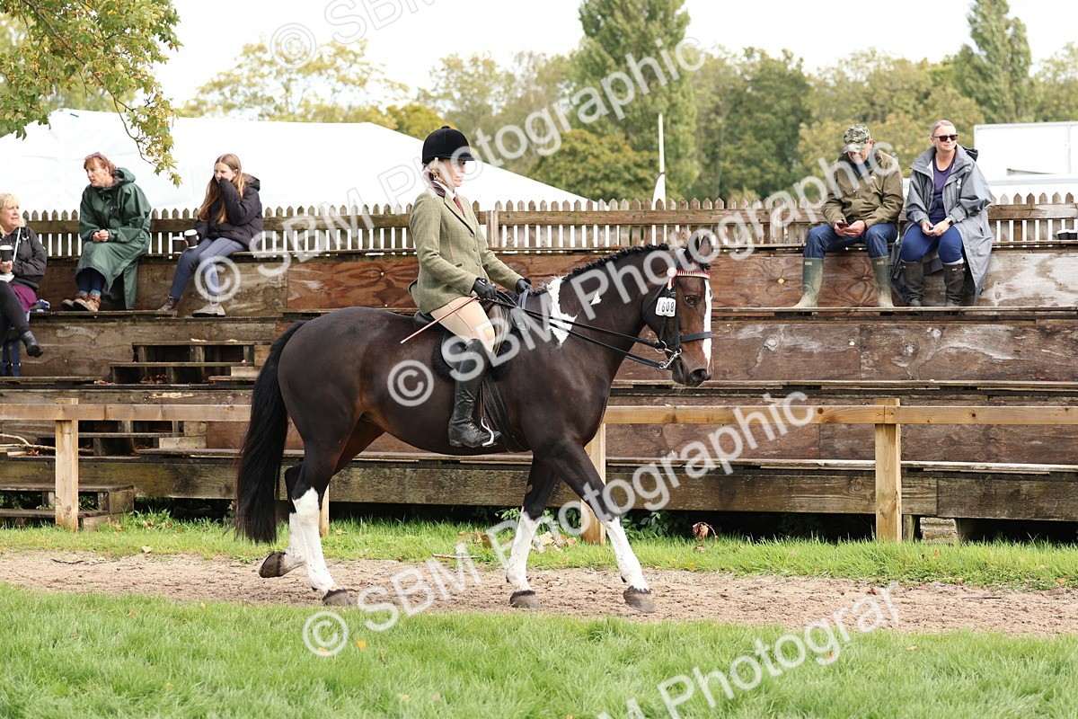 SBM_45157 - S27 - Young Veteran Ridden