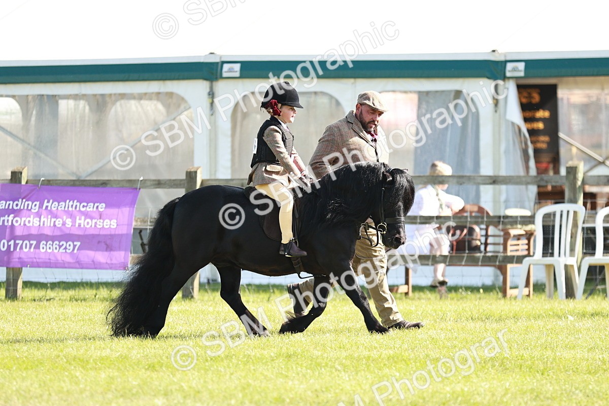 SBM_11354 - Class 106-107 - BSPS LIHS Working Sports Pony