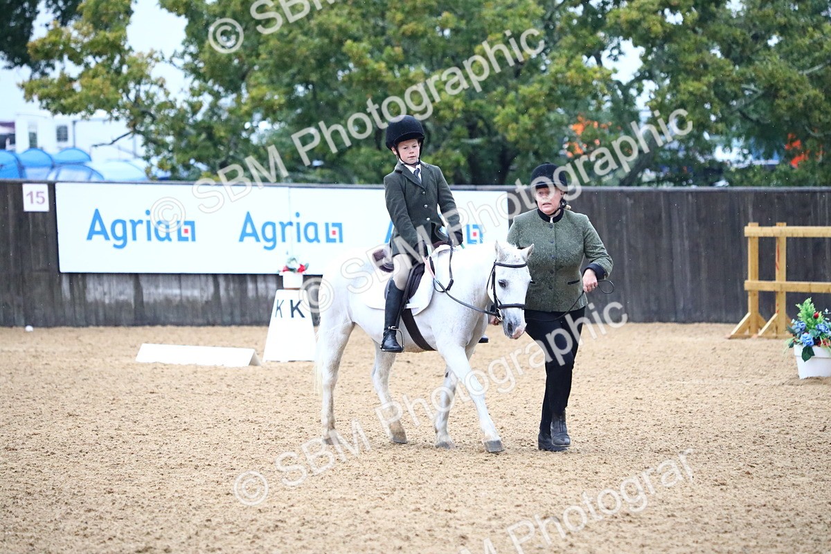 SBM_34617 - D26 - Starters Lead Rein