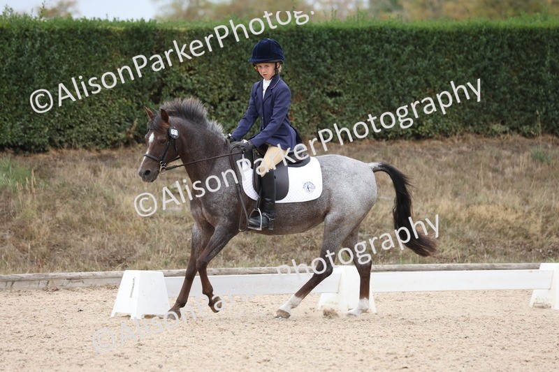 20250819-0895 - Class 2 - Prelim 1