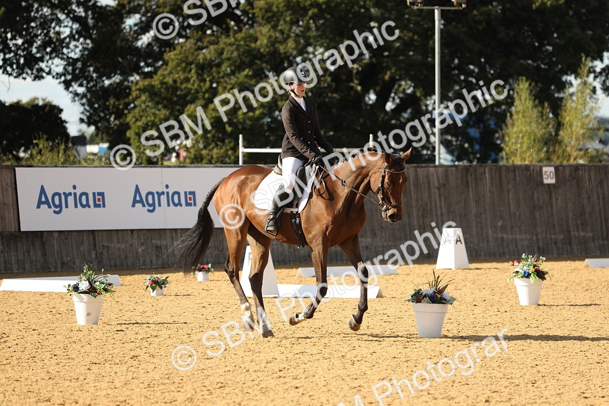 SBM_26789 - D17 - Grand Tour Championship - Novice 27