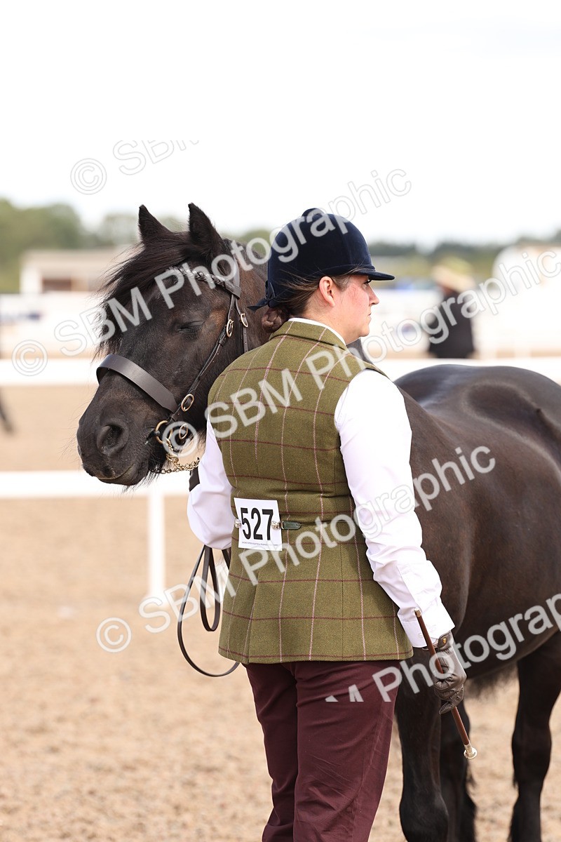 SBM_15101 - Class 209 - IH Veteran Pony