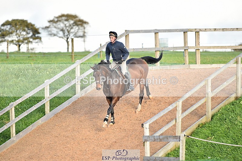 231105A-141916-01357 - 1m