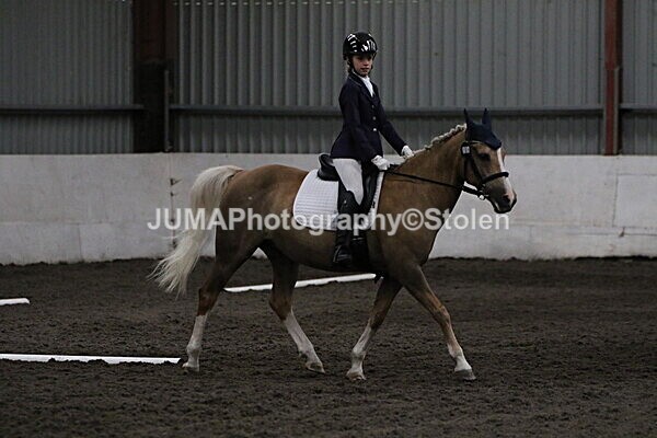 SIAL3547 - CAbin Dressage 5th july 2025