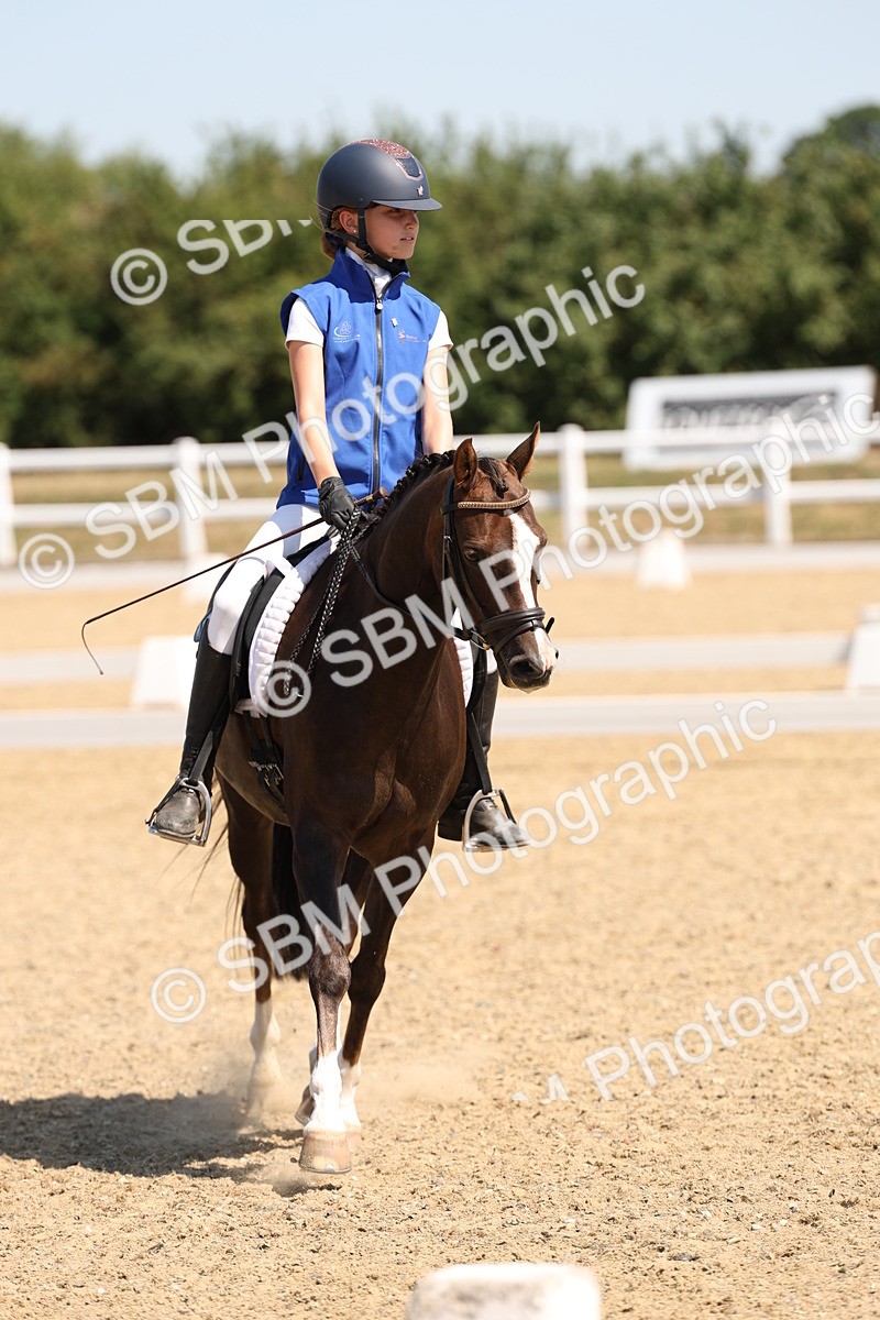 SBM_001182 - Intro 2