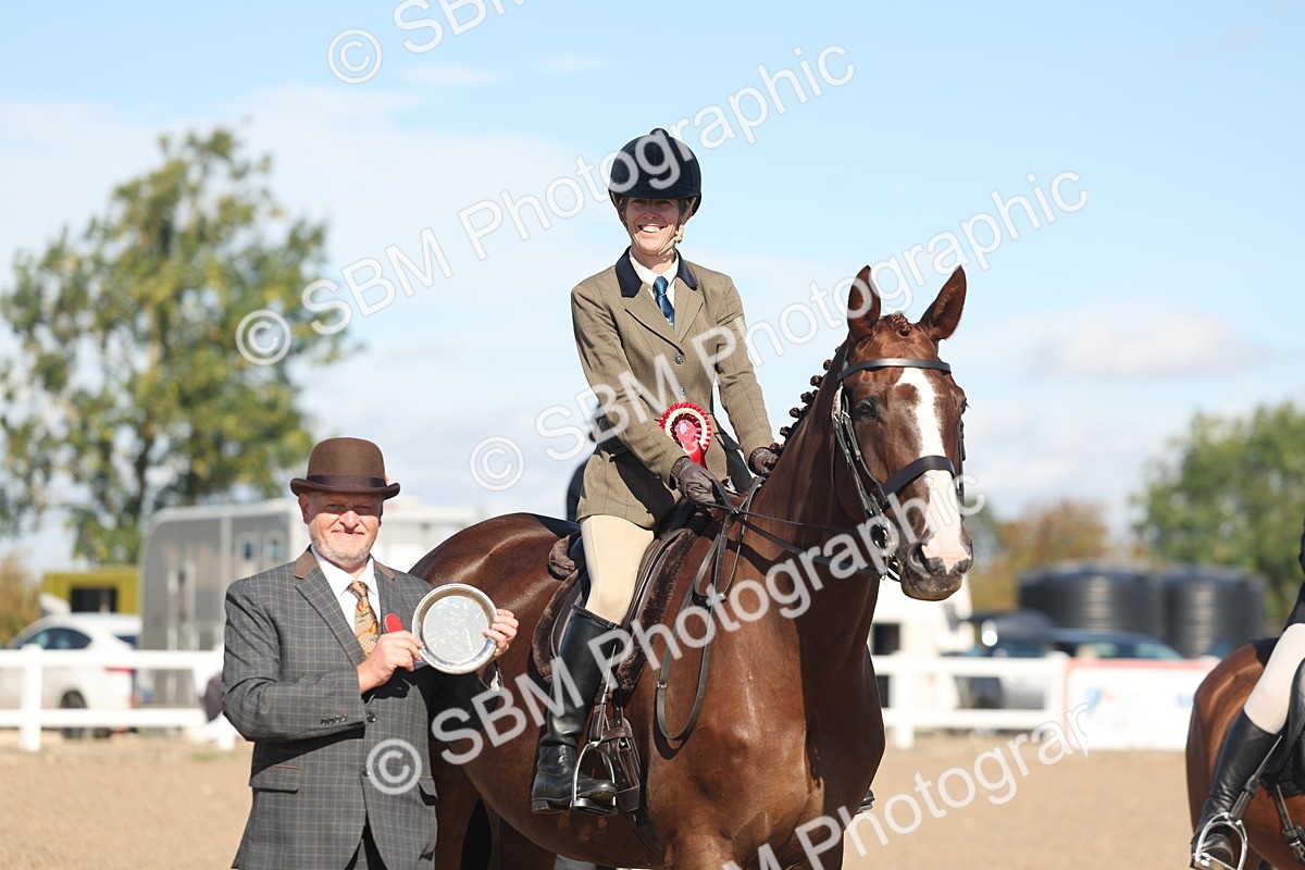 SBM_13104 - Class 305 - Ridden Foreign Breed Pure Bred