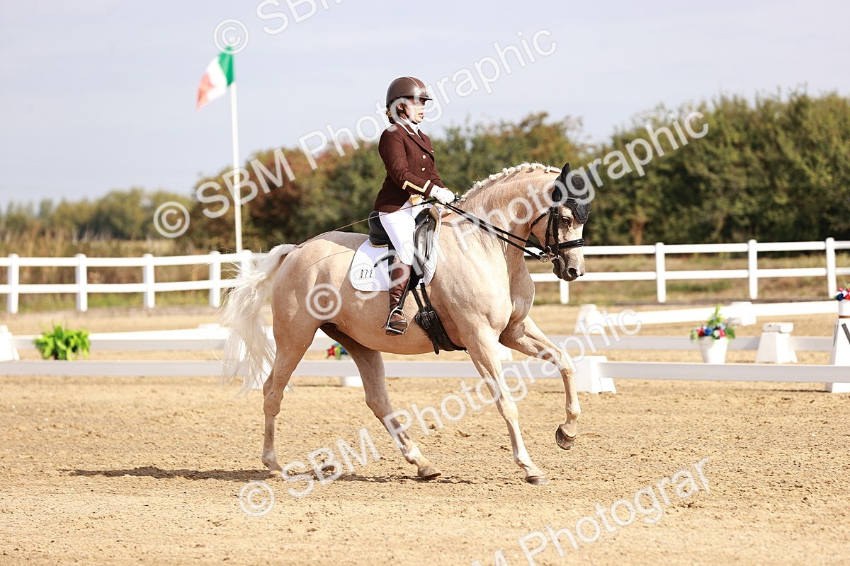 SBM_017006 - Class 10 - Medium 6