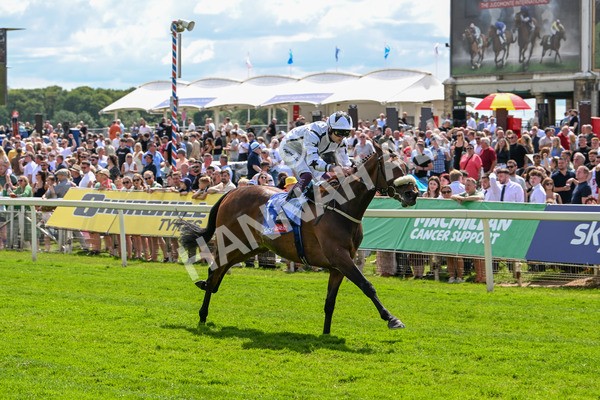 140625-Race 3-Al Qareem-2494 - Race 3 3.00pm Sky Bet Race To The Ebor Grand Cup Stakes