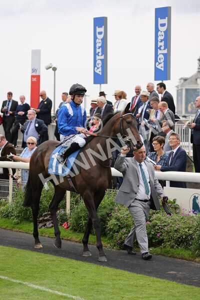 yr19082021r3-16 - Race 3 3.00pm Clipper Logistics Stakes