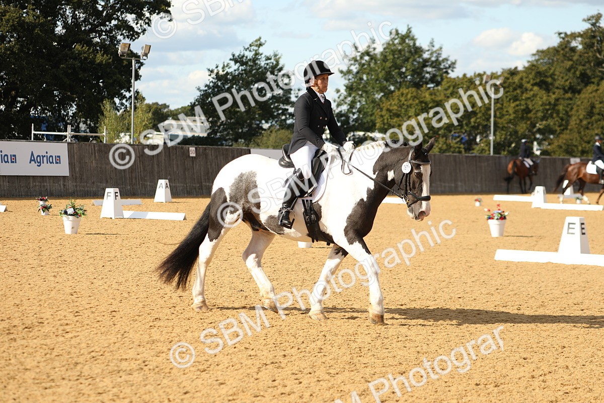 SBM_26685 - D17 - Grand Tour Championship - Novice 27