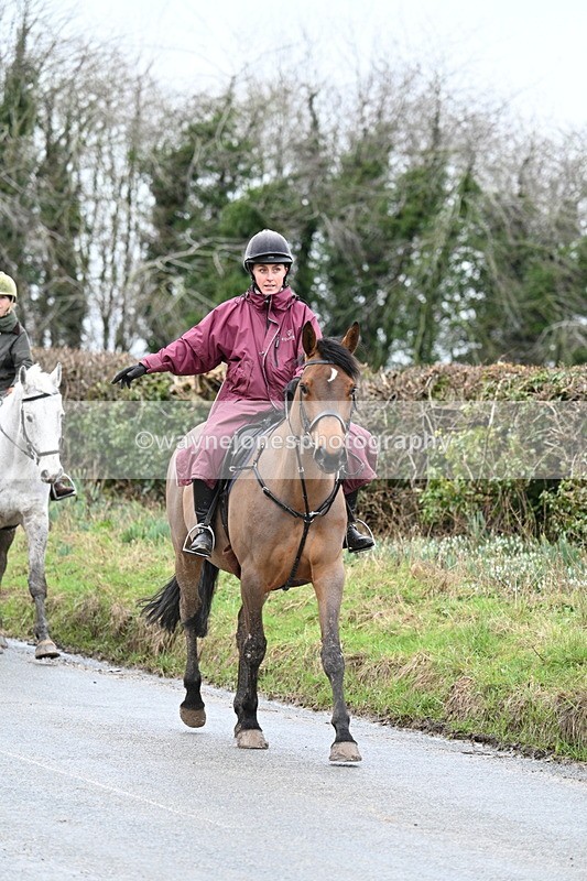 WJ7_8879 - Berks & Bucks - Rowles Farm 15-02-26