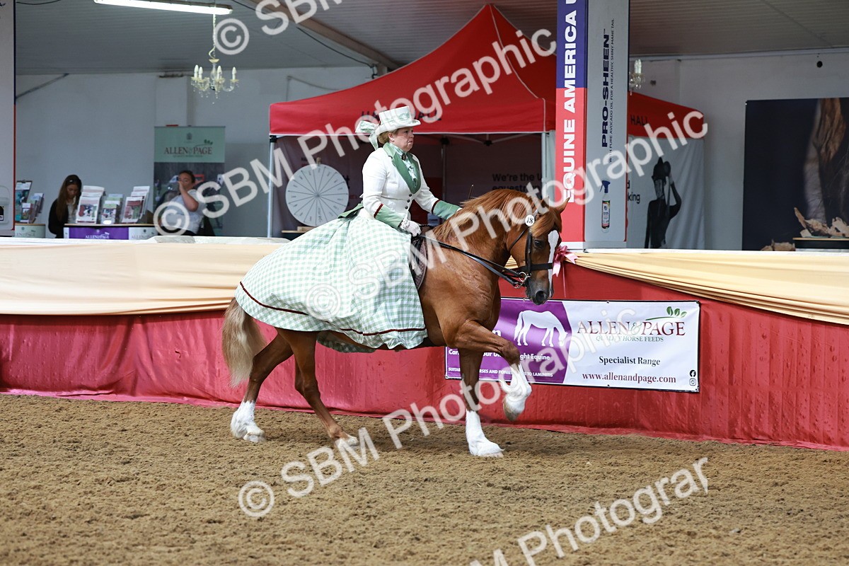 SBM_13838 - Class 106 - Ridden Costume -Astride Adult (15-19)