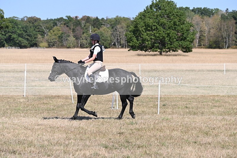 WJ6_8828 - Class 38 Ridden Riding Horse/Pony