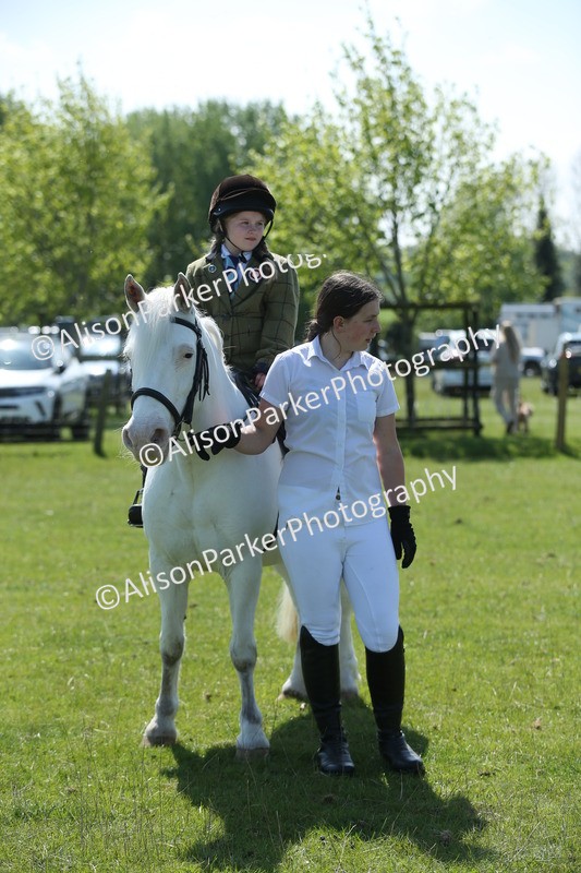 20250427-2659 - Class 6 - Pony Judge Would Most Like To Take Home