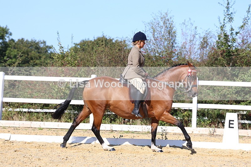 3E7A5720 - Class 10: Riding Horse