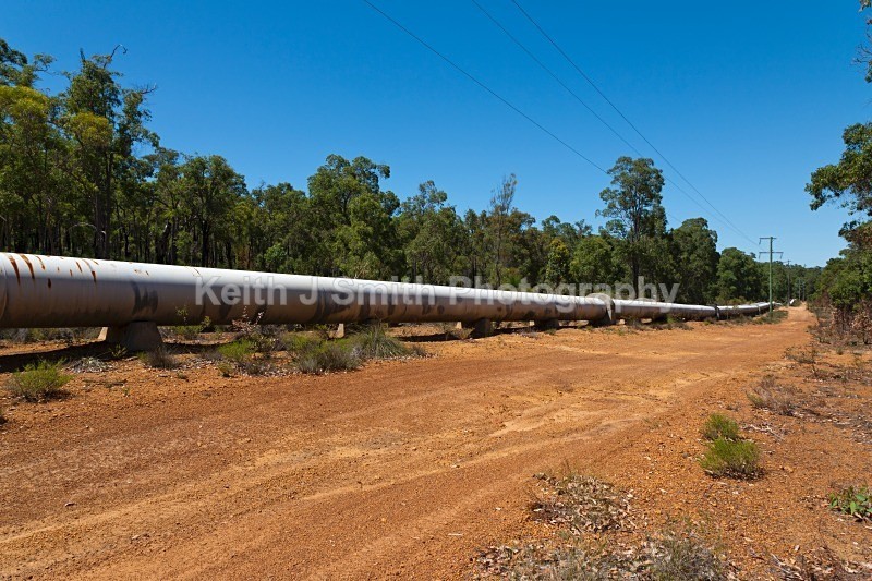 YR6M3985 RM) - Worldwide