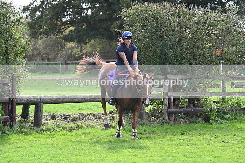 WJ7_9733 - Time 13:13 to 13:55