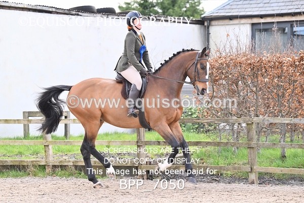 BPP_7050 - RING 1  (RIDDEN HORSES / IN HAND / VETERAN ETC)