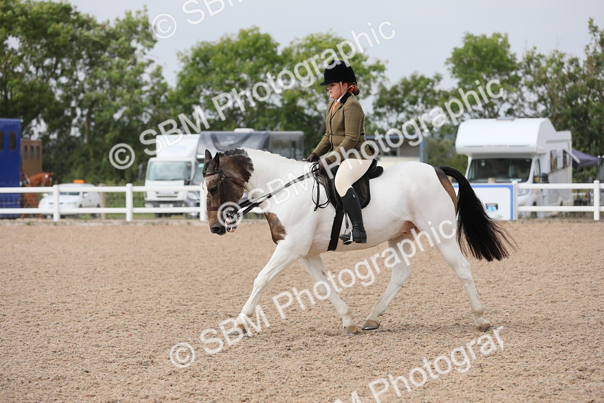 SBM_12700 - Class 307 Ridden Coloured Pony
