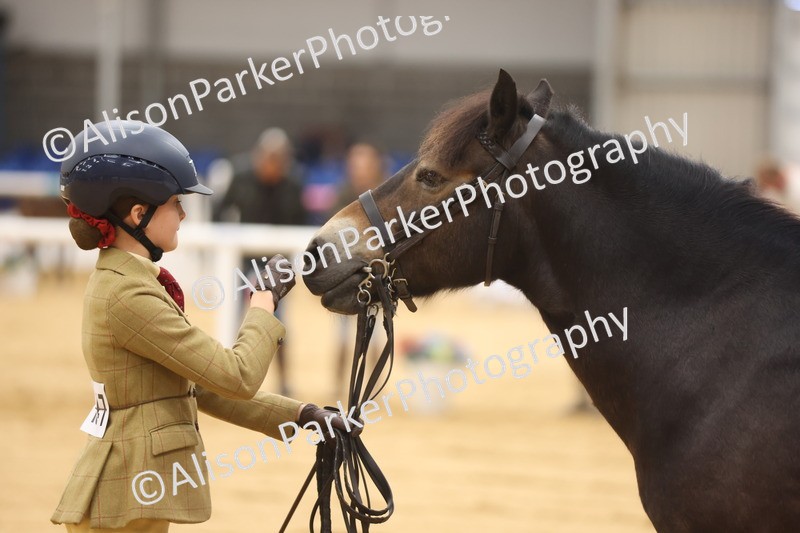 20260913-0124 - Class 121 - Young Handler 5-16