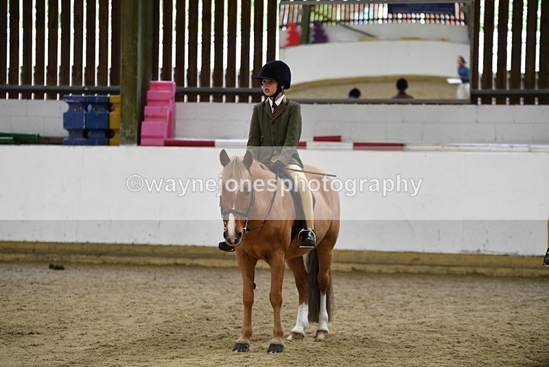 WJ5_7037 - Class 10 Childs Pony