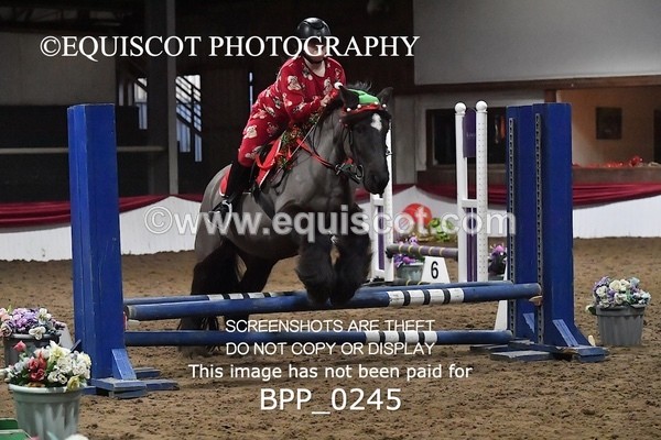 BPP_0245 - CLASS 3 50CM