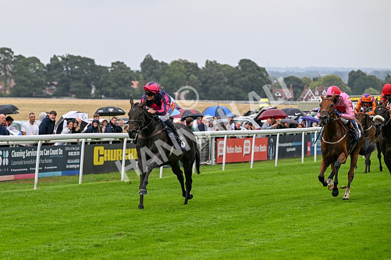 290826-Race 2-Valley Of Flowers-5950 - Race 2 2.20pm Napoleons Casino And Restaurant Hull Handicap