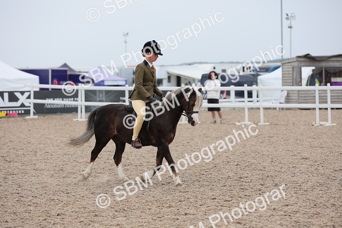 SBM_18116 - Class 316 Best Pony/Rider Combination