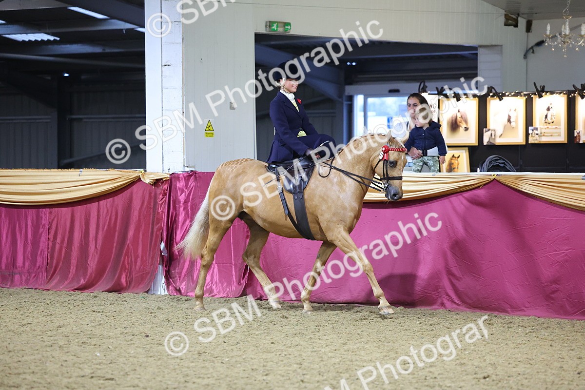 0B8A4250 - Class L Side Saddle Champ