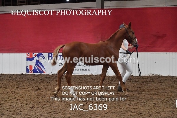 JAC_6369 - 19 Luca