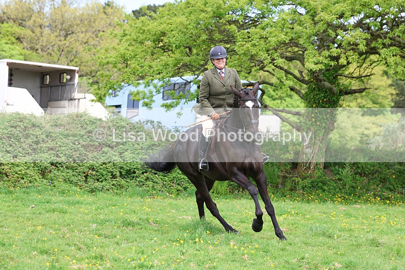 3E7A1327 - Class 7: Ridden Hunter Type