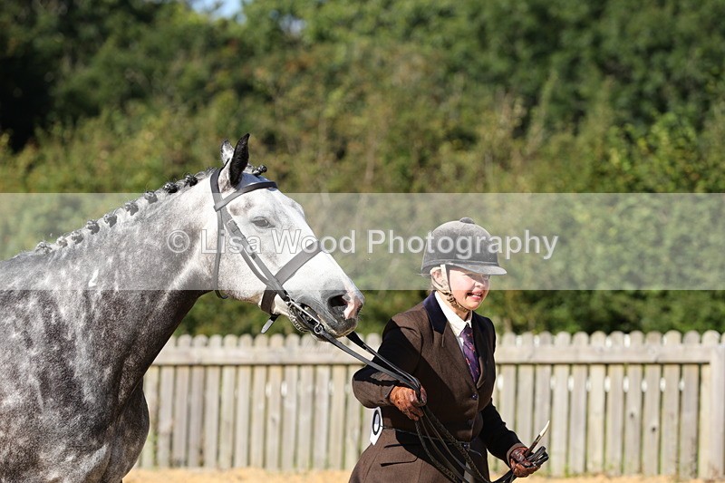 1X9A7685 - Class 8: Small Ridden Hunter