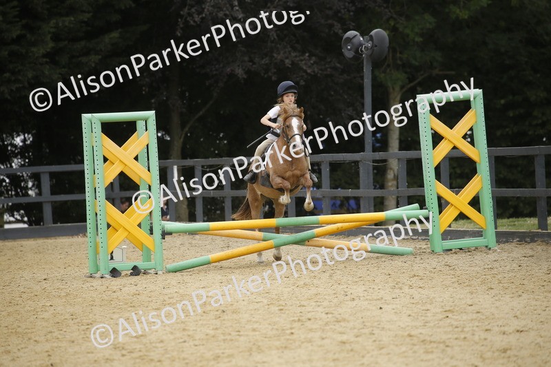 20250622-6128 - 60cm