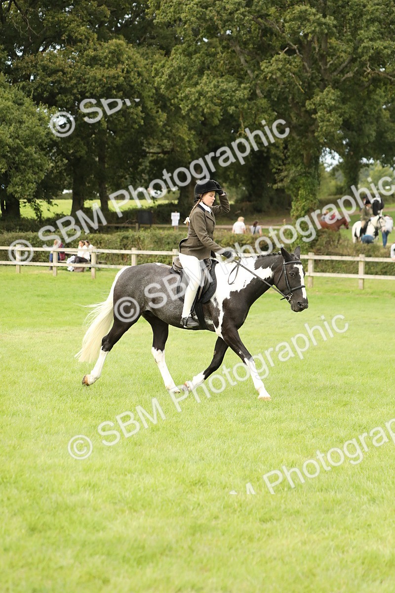 SBM_71626 - S41 - Ridden Equitation (Best Rider)