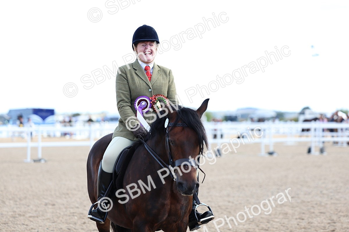 SBM_08979 - Class 302 - Ridden M&M - Large Breeds
