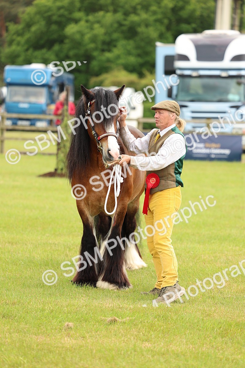 SBM_06287 - Class 39-41 TGCA In Hand and Ridden