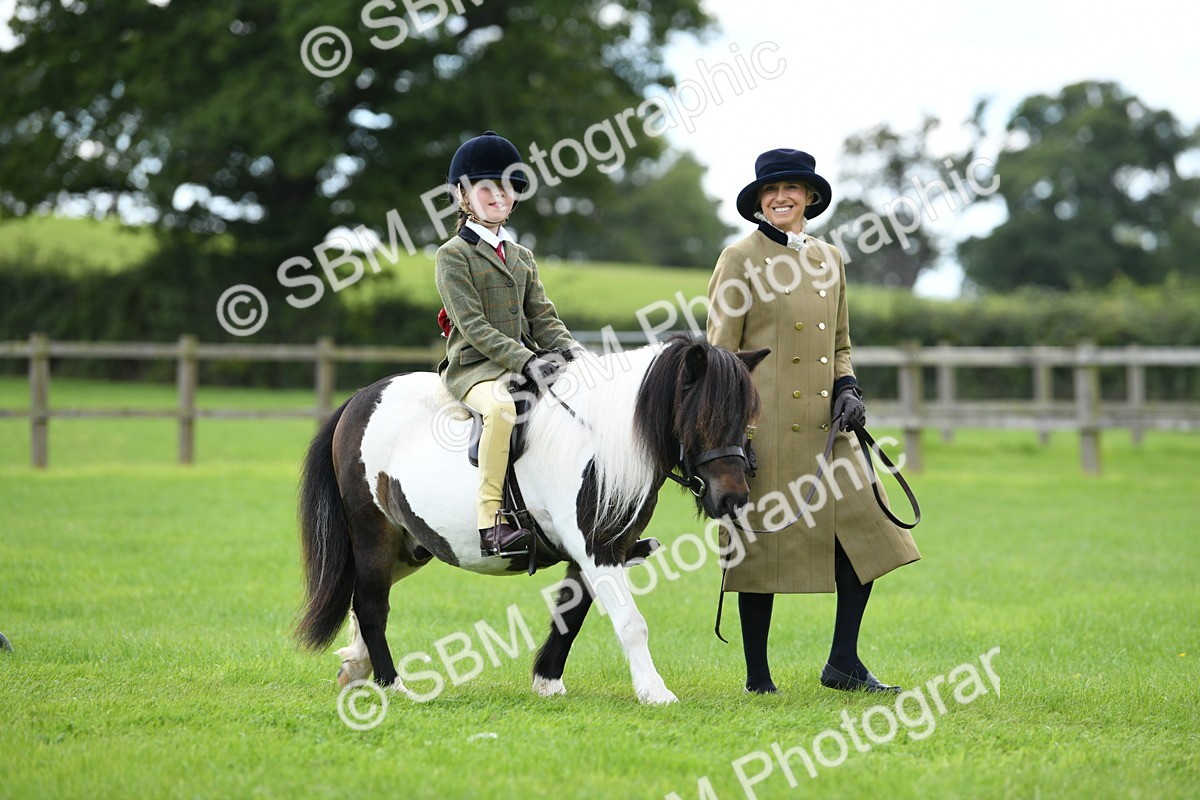 SBM_42402 - S20 - Lead Rein Mountain & Moorland Pony