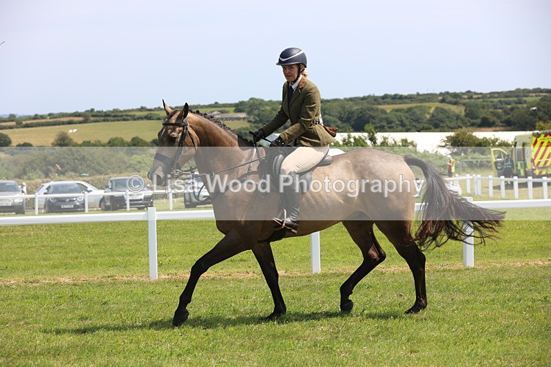 JPP_3319 - Class 22: Working Hunter 70cm