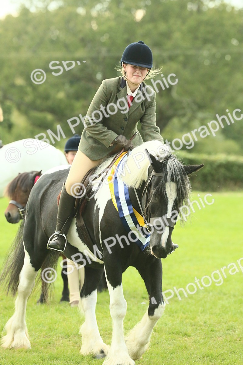 SBM_75281 - Super Supreme Championship