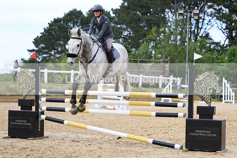 3E7A7549 - Class 8: Senior Foxhunter/1.20 open