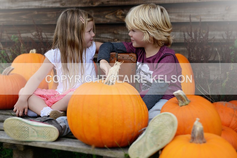 DSC_8805-5 - SEASONAL OUTDOOR SHOOTS - PUMPKINS