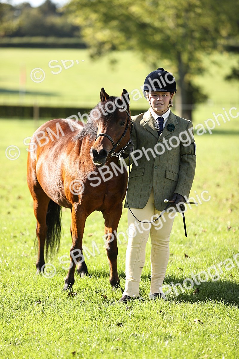 SBM_15940 - S1 - TSR in Hand Horse & Pony Showing