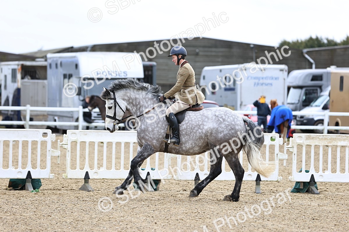 SBM_006980 - Class 29 - 30 - M&M Pure Novice Small-Large Breeds
