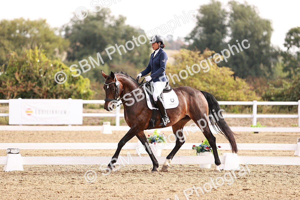 SBM_016930 - Class 10 - Medium 6