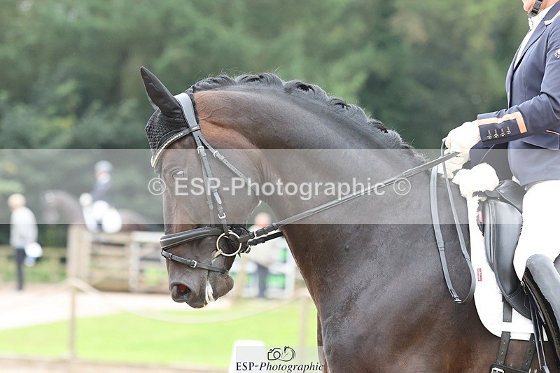 240810-120202-03019 - 302-Alice.Peternell-Vespasiano