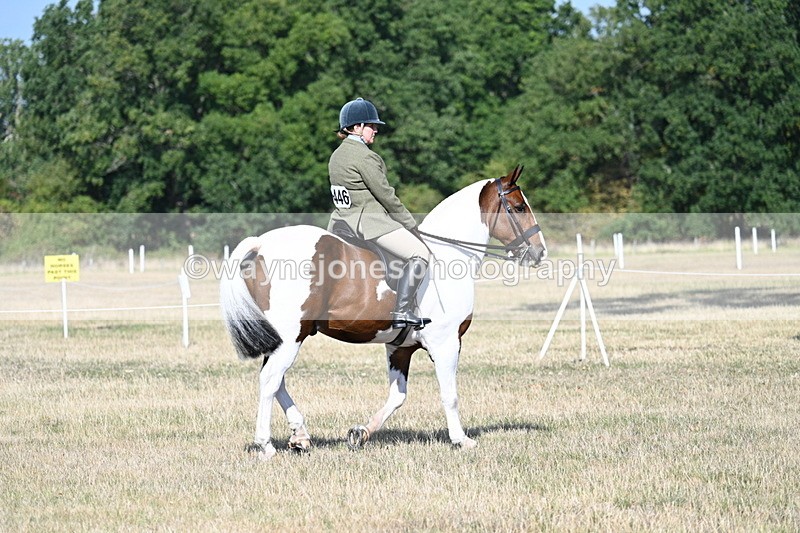 WJ7_2770 - Class 8 Ridden Tack & Turnout