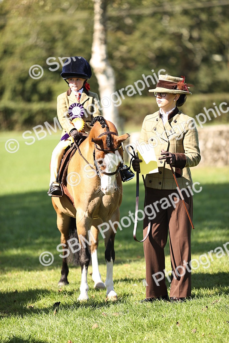 SBM_19373 - S3 - TSR Ridden Pony Showing